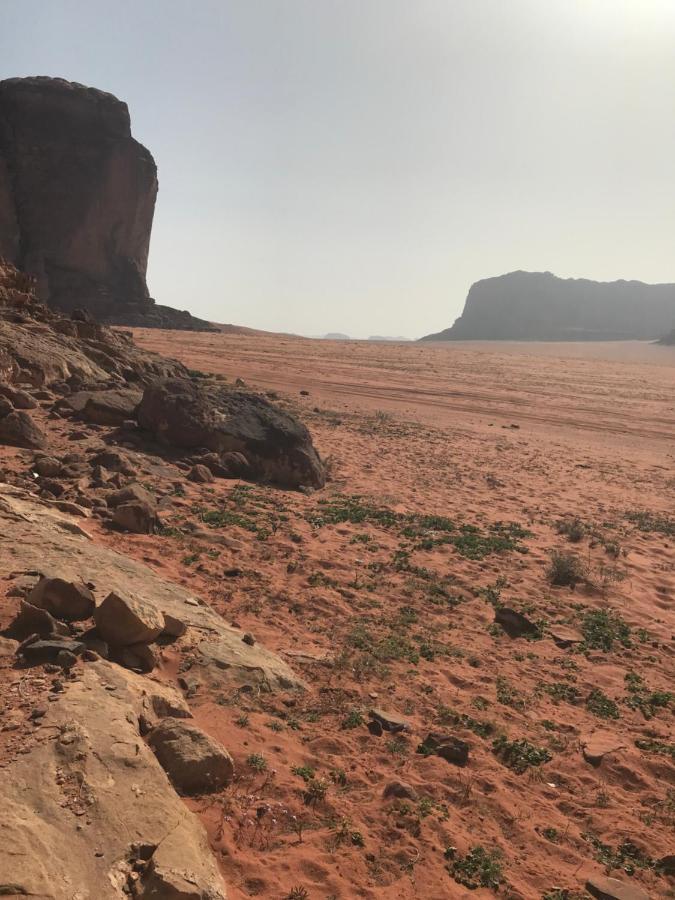 Hotel Bedouin House Camp Wadi Rum Exterior foto