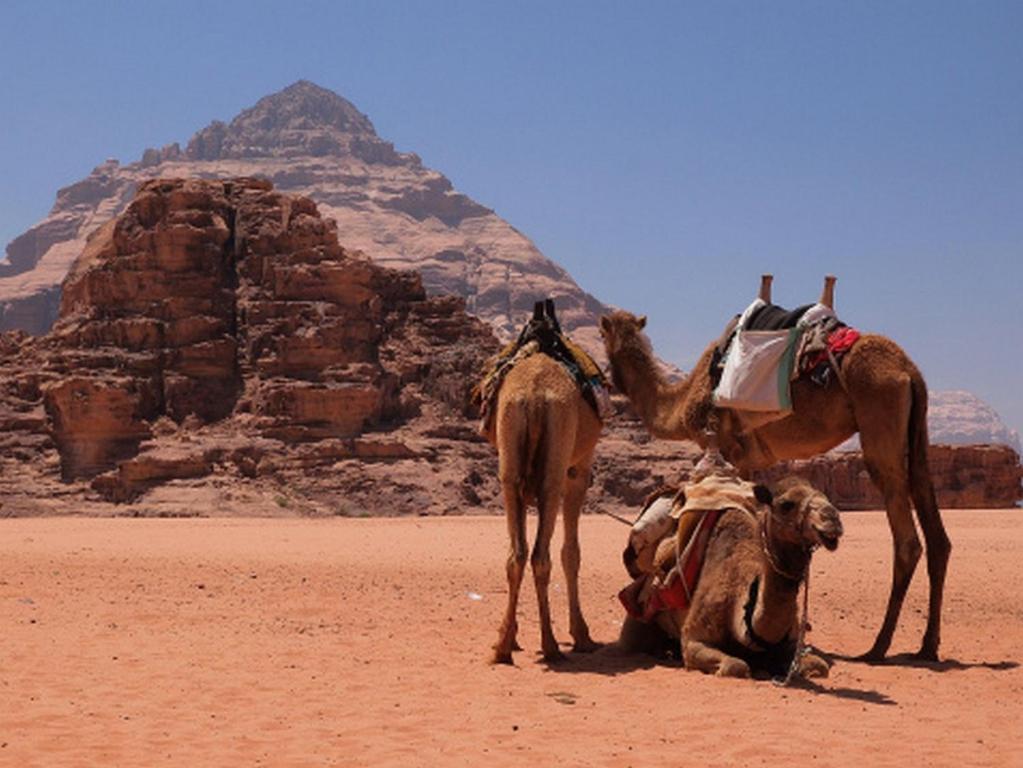 Hotel Bedouin House Camp Wadi Rum Exterior foto